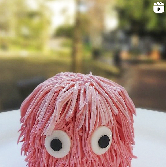 Seguinos en Instagram