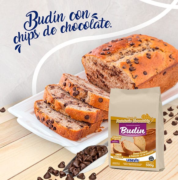 Seguinos en Instagram