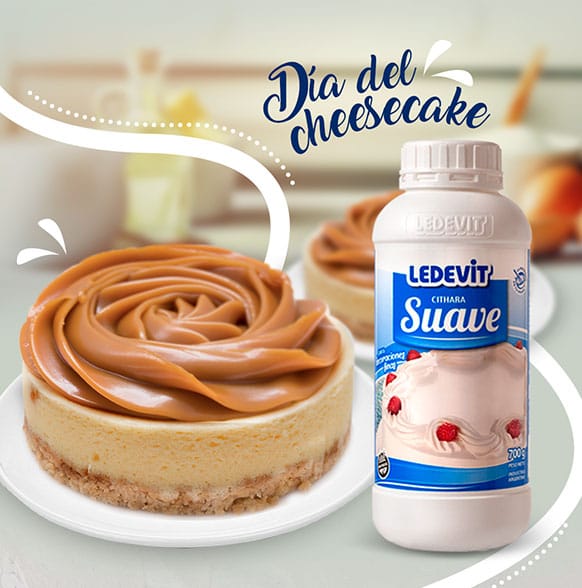 Seguinos en Instagram